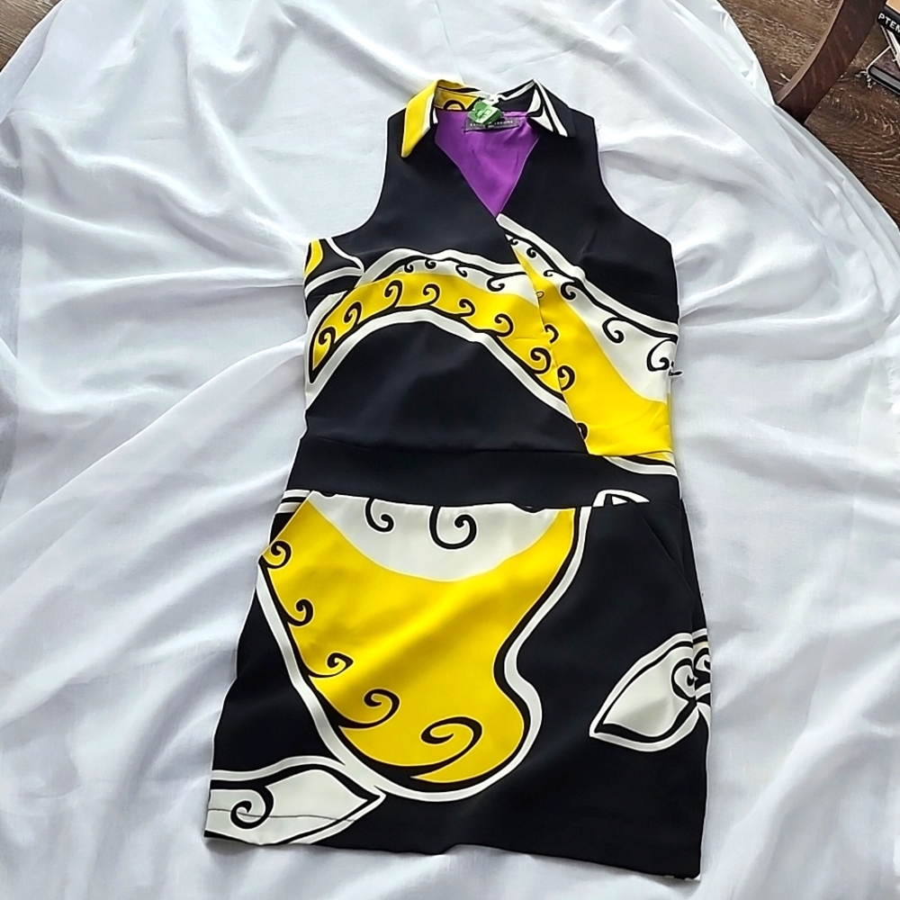 Sandro Ferrone Stunning Ex Cond & Pro Clean Sleeveless Mini Dress, Small/4, $50 - Picture 6 of 11